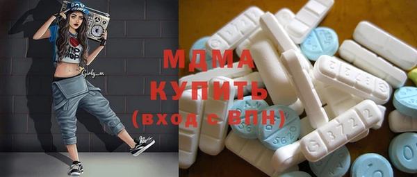 гашик Алексин