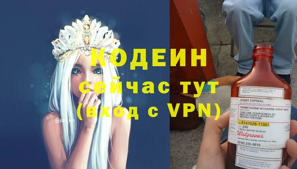 гашик Алексин