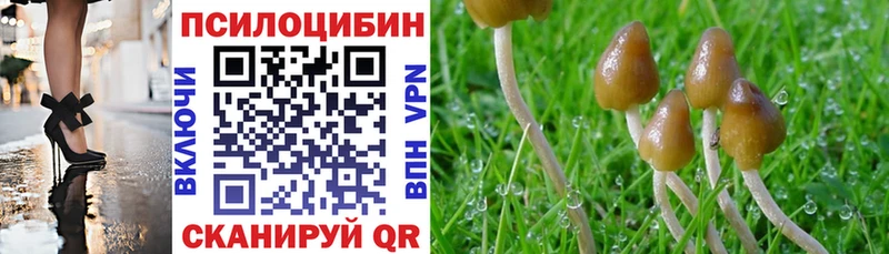 Псилоцибиновые грибы ЛСД Обнинск