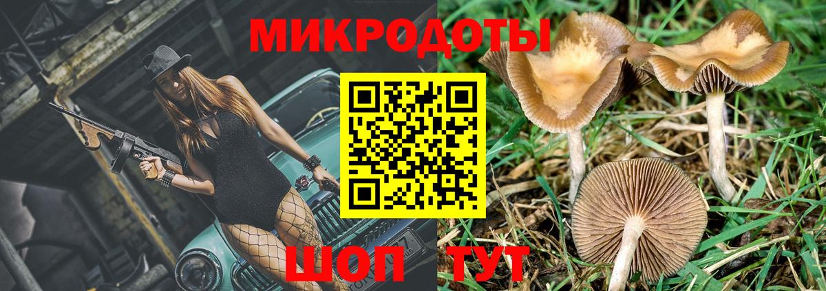 Галлюциногенные грибы Psilocybe  Вход с VPN  Обнинск 